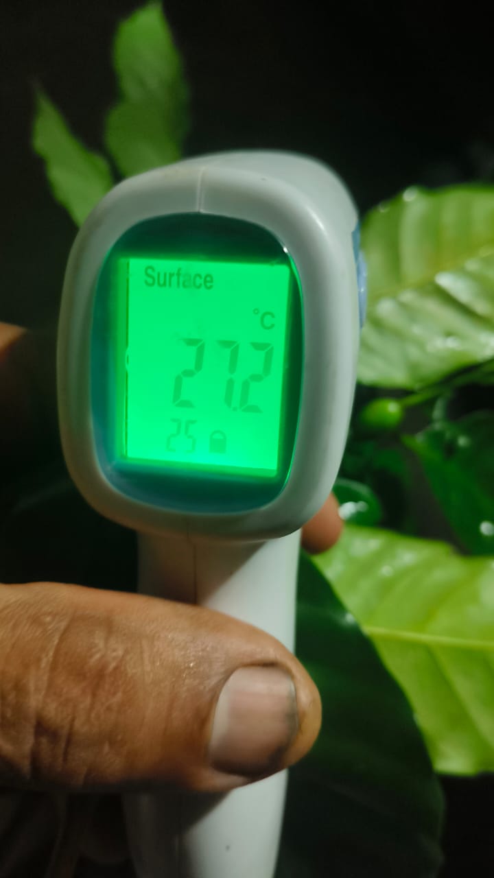 Temperature reading 27.2°C on fresh leaves